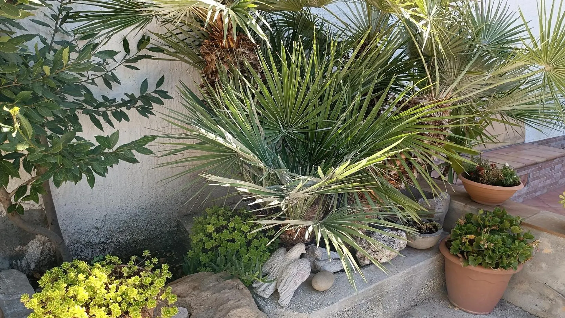 La Mimosa Di Erice Bed & Breakfast