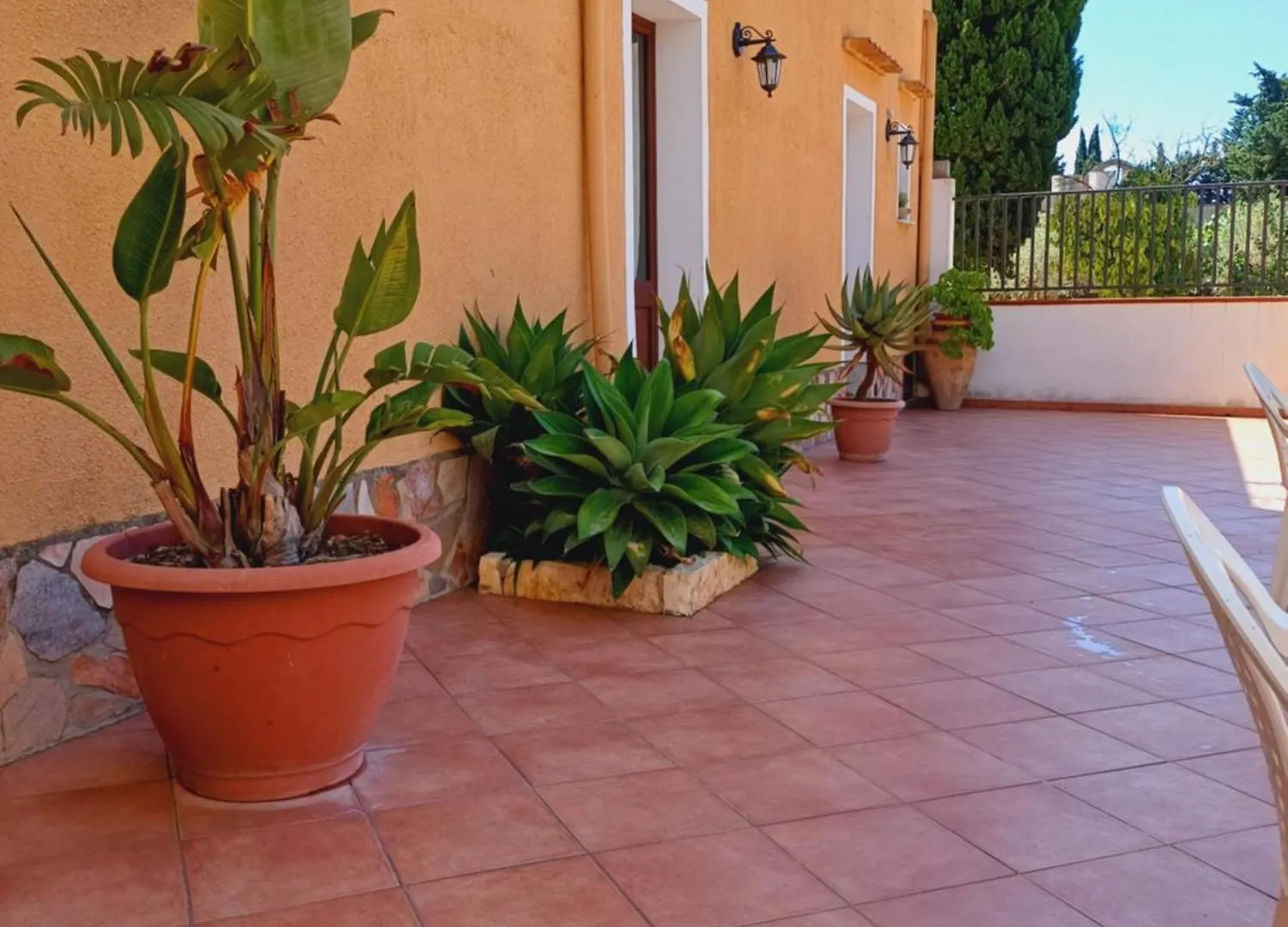 La Mimosa Di Erice Bed & Breakfast